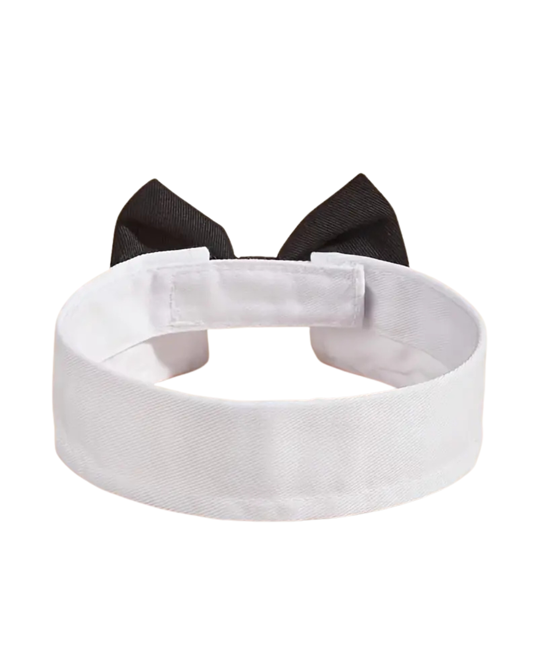 Bow Tie Collar
