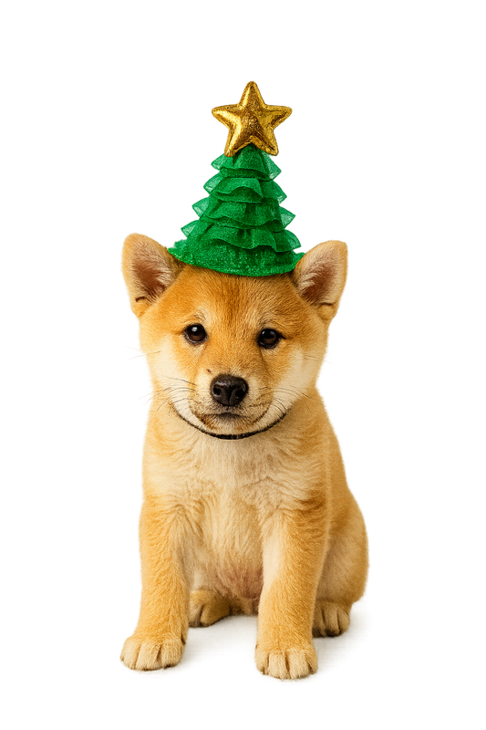 Xmas Tree Dog Hat