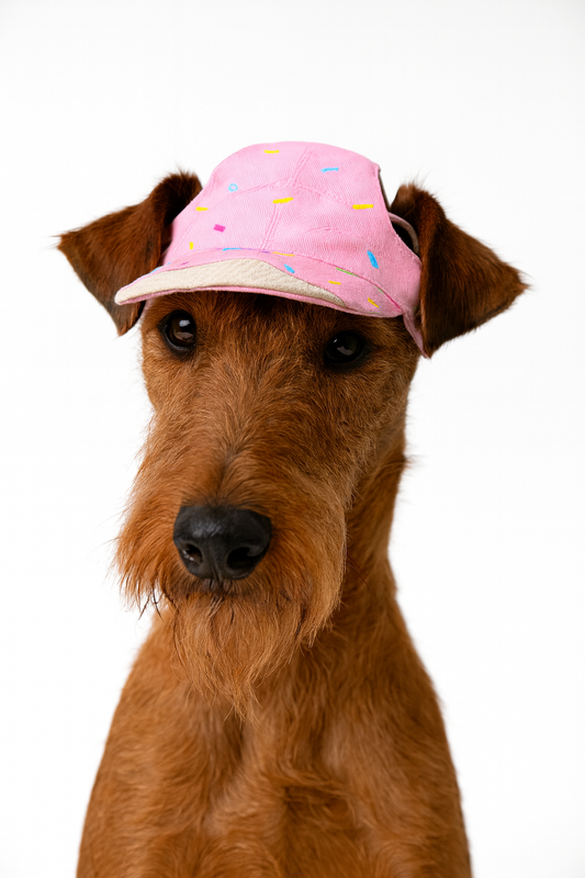 Pet Ice-cream Baseball Hat