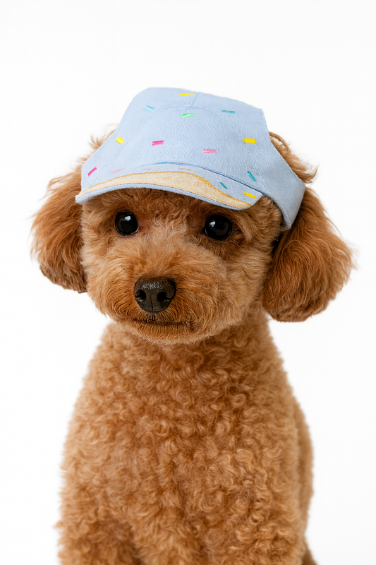 Ice - cream Baseball Hat