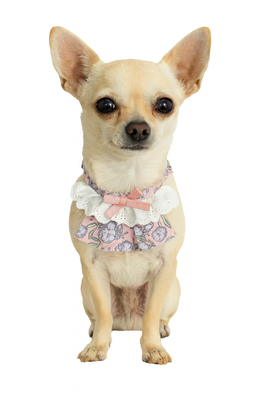 Dog  Necklace