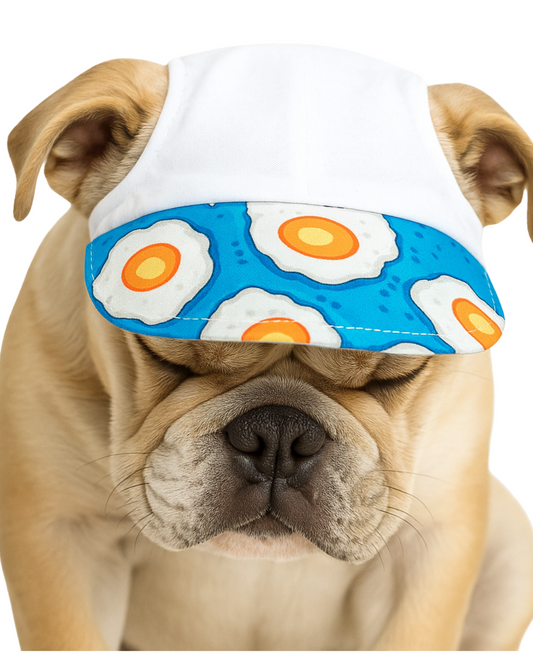 Small Dog Visor
