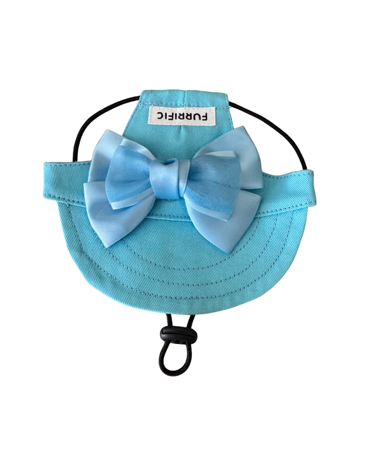 Pet Hat with strap
