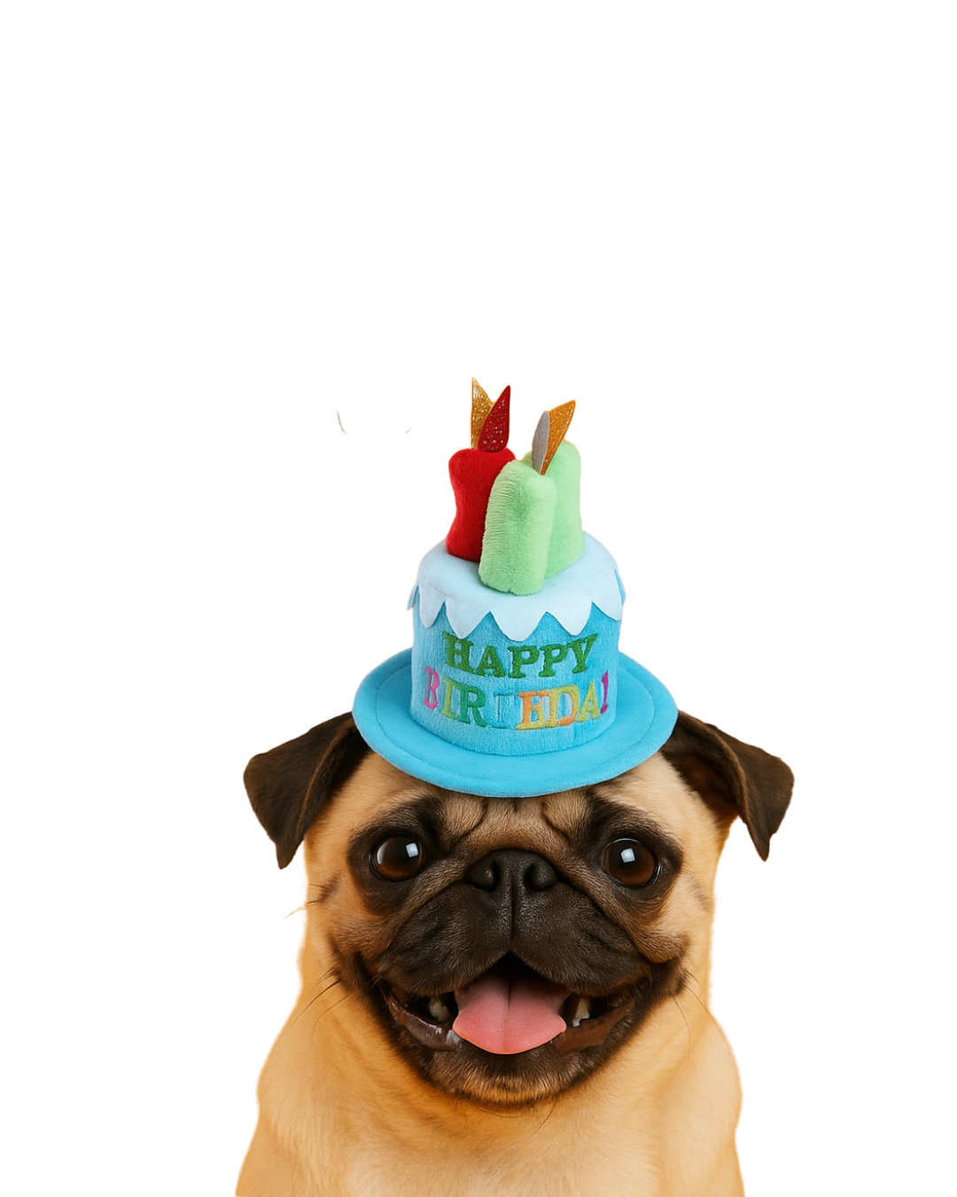 Birthday Hat