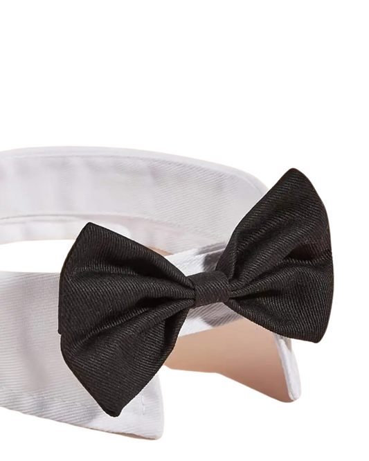 Bow Tie Collar