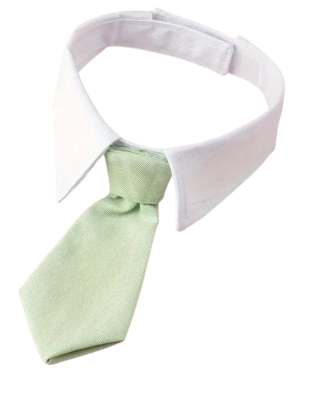 Medium Dog Bow Tie with Hook and Loop Closure