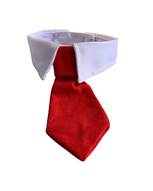 Red  Dog Tie